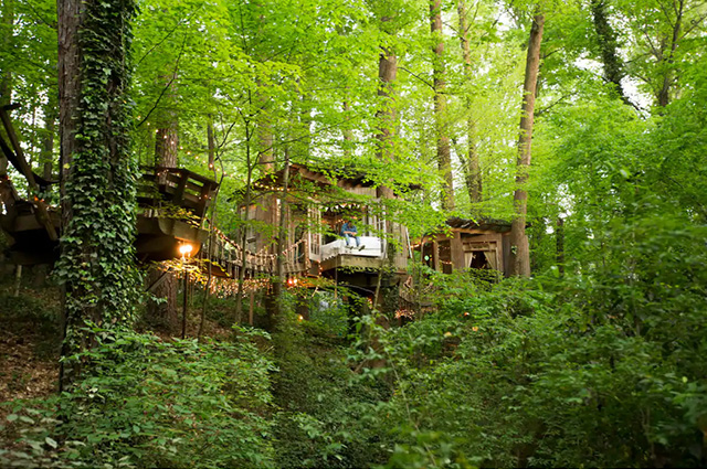 Intown Secluded Treehouse