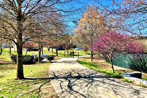 Northside Beltline Trail Footer